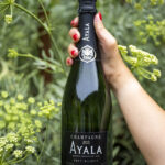 HI-RES__DSC5055